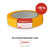 Basic Goldband UV-30, 19 mm × 50 m, mit Aktionshinweis 10 % Rabatt über den Newsletter-Code 4XGOLD